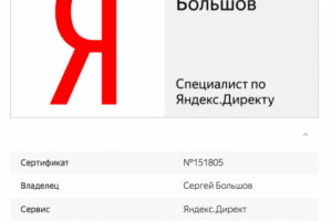Специалист по Яндекс Директу