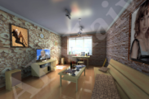 Гостиная. Москва, 21,12, 2012