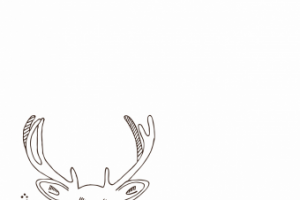 Лесной олень