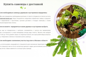 Контент для интернет-магазина Royal Garden