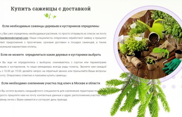 img3768447.png