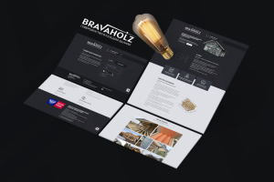 Сайт под ключ для Bravaholz