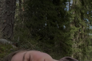 Эстетика леса