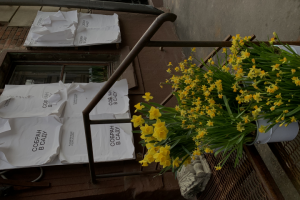 Видео воспоминание