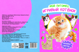 Дизайн книги.