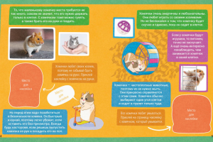 Дизайн книги.