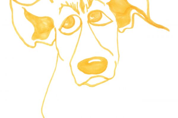 img4542478.png