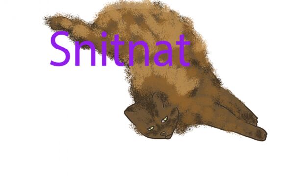img4505632.png