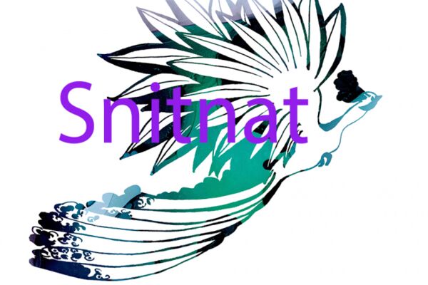 img4505637.png