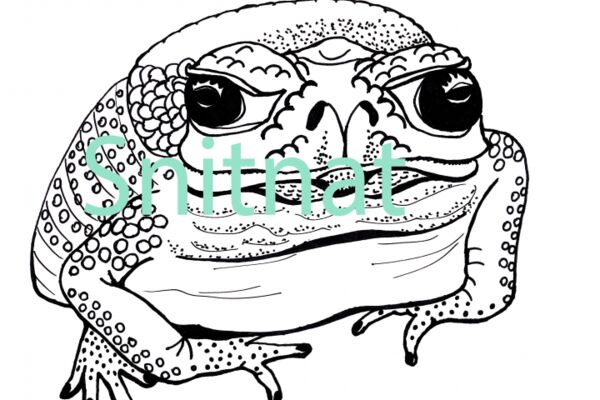 img4507151.png