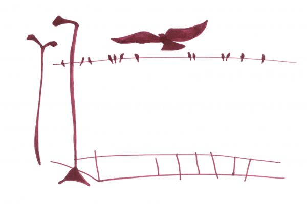 img4547745.png