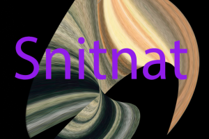 Abstract geometric expressive shape in peach and dark green