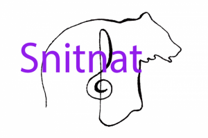 bear standing in profile with a musical harmonic key