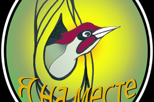 Cartoon image of the head of a green woodpecker peeking