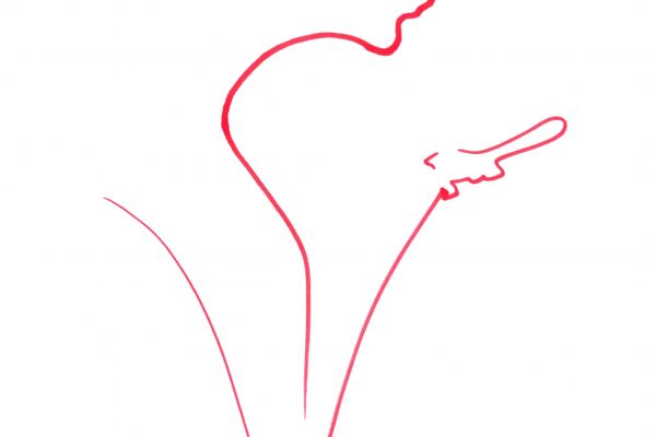 img4547765.png