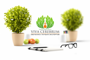 Работа 3276164