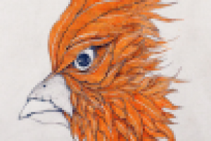 Работа 3037307