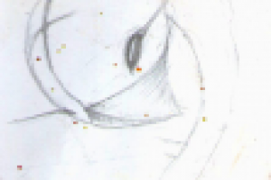 Работа 3037303