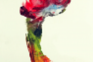 Работа 3037308