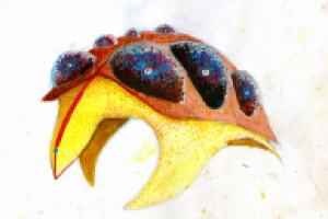 Работа 3037302