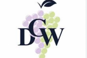 Перевод веб-сайта на чешский