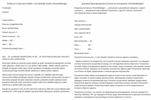 Перевод договора на русский