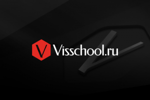 Фирменный стиль Visschool