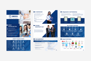 Презентация Гросс для руководителей