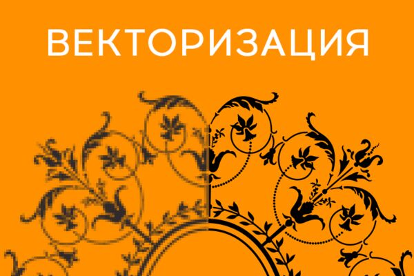 img3339227.png