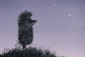 Ежик в тумане