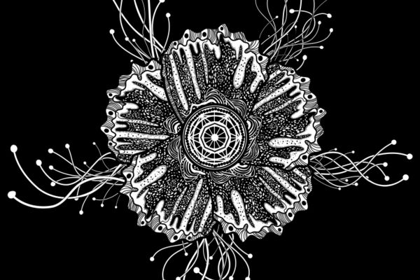 img4557916.png