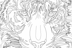 Векторная иллюстрация. Разукрашка