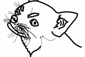 Работа 3800572