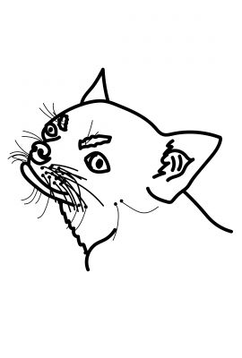 img3800572.png
