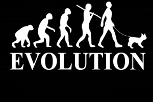 Работа 3790175