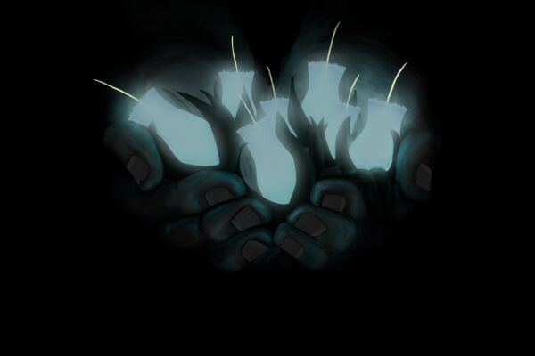 img3519970.png