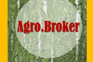 Работа 3256983