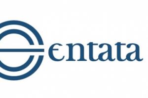 Работа 3256915