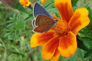 Работа 3256942