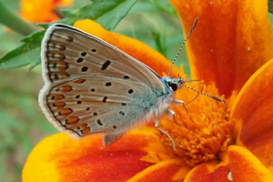 Работа 3256940