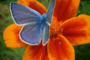 Работа 3256938