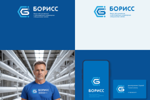 Конкурсная работа. Дизайн логотипа сервиса "БОРИСС".