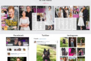 Персональный сайт Suzanne Paul