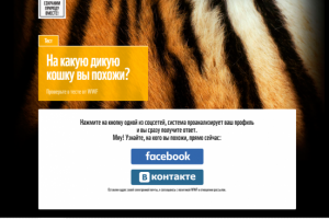WWF сайт тест. Анализ профиля Facebook и ВК