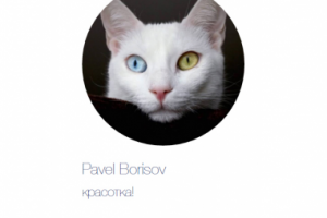 Dove. Приложение для Facebook и ВКонтакте