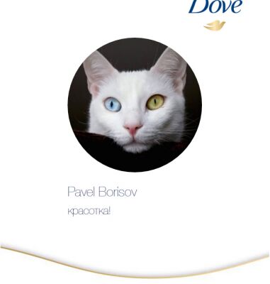 img3496234.png