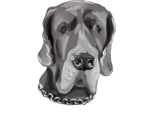 img3902840.png