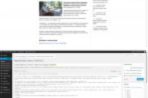 Наполнение сайта новостями (Word Press)