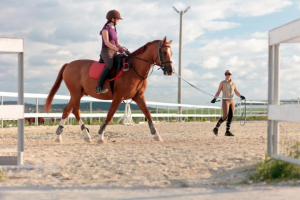 Кейс конного клуба