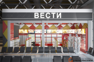 Аэропорт Шереметьево.Новый ТерминалС 46м2